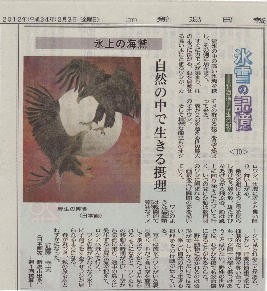 10.Aigle sur la banquise (Hyôjô no Umiwashi) 3 fév. 2012 Peindre un aigle – Connaître les lois de la Nature, les règles du règne sauvage.
