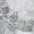 「荘厳なる自然」 雪の道（掛軸） - 日本画家 近藤幸夫