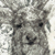 Заиндевелые деревья - Одноглазый олень - художник нихонга Кондо Юкио